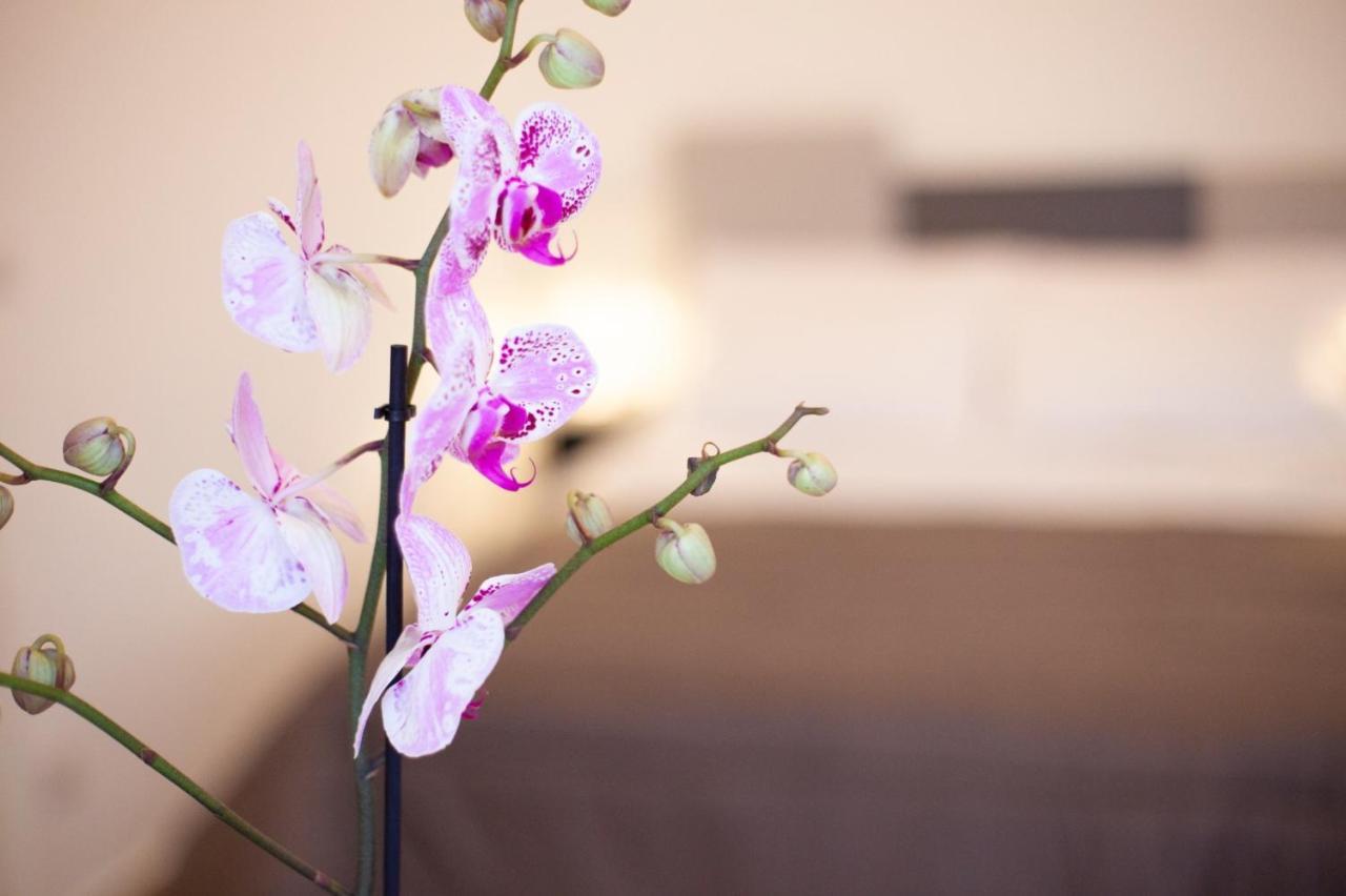 Casapaola B&B Rooms 阿奇雷亚莱 外观 照片